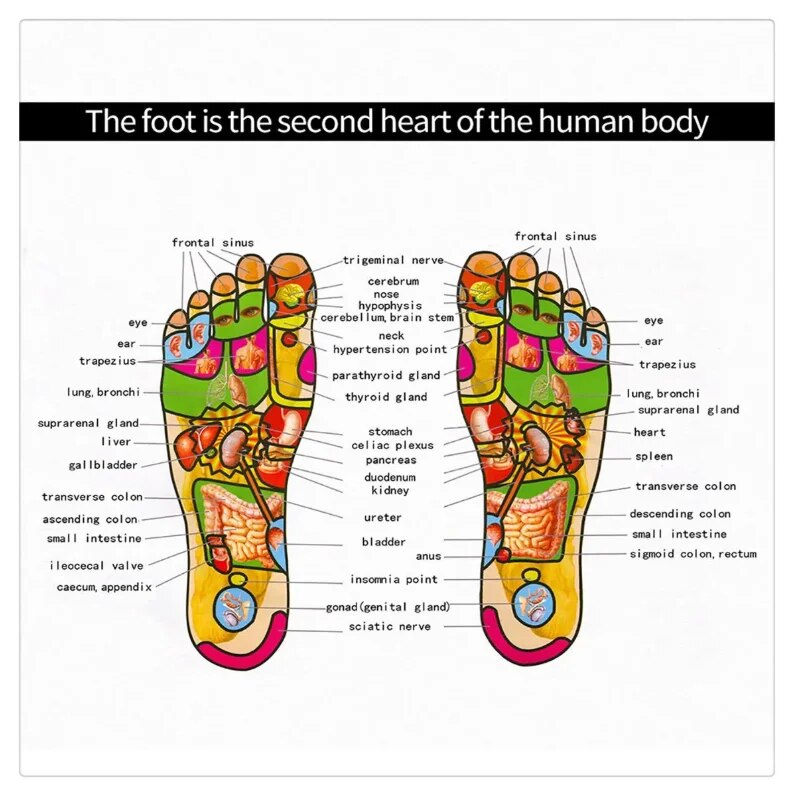 Kluger FootEase - EMS TENS Foot Massager
